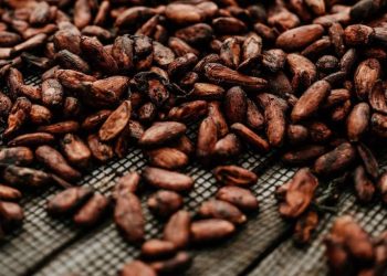 Cocoa beans set to rise in price