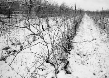 Even an Overcast Day