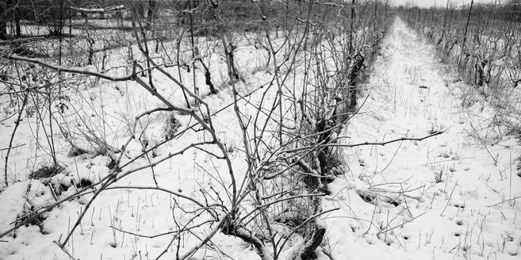 Even an Overcast Day