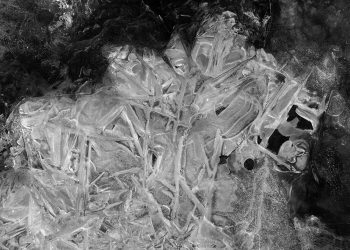 Luca Polare Opens 2nd Branch in Baku