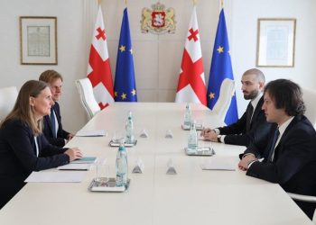 Irakli Kobakhidze meets Swedish Ambassador to Georgia