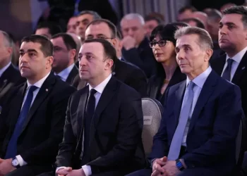 Irakli Garibashvili elected as the chairman of the party at the “Georgian Dream” convention