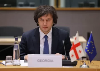 Kobakhidze: Georgia has shown a very strong will to fulfill its obligations