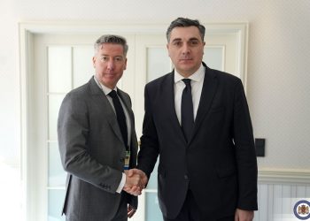 Georgian FM meets Munich Conference Vice-Chairman, CEO