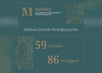 Application submission process for the “Meliora 2024 responsible business competition of Georgia” ends