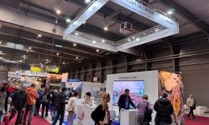 Georgia exhibits at Holiday World and Region World in Prague