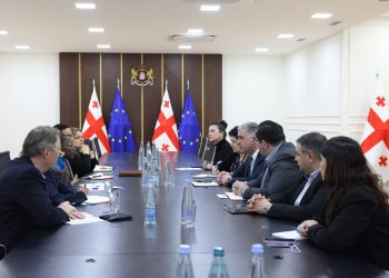 Otar Shamugia meets with the World Bank Regional Director for the South Caucasus