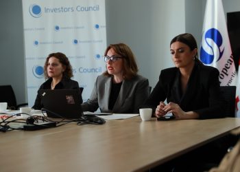 Head of Georgian National Tourism Administration meets with members of the Investors Council