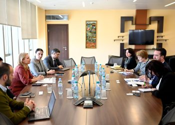 Natia Turnava meets with the Deputy Minister of Finance of the Netherlands