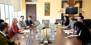 Natia Turnava meets with the Deputy Minister of Finance of the Netherlands