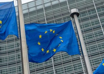 EC adopts document on pre-enlargement reforms and policy reviews