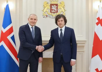 Georgian PM, President of Iceland discuss bilateral relations
