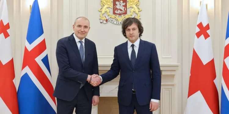 Georgian PM, President of Iceland discuss bilateral relations