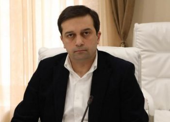 Georgian Ombudsman calls for preservation of constitutional rights in LGBT-related draft law