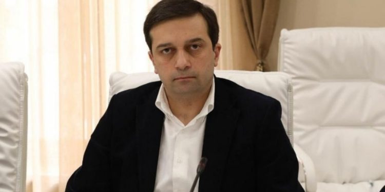 Georgian Ombudsman calls for preservation of constitutional rights in LGBT-related draft law