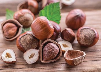A Tough Nut to Crack – How is Georgia’s Nut Industry Developing?