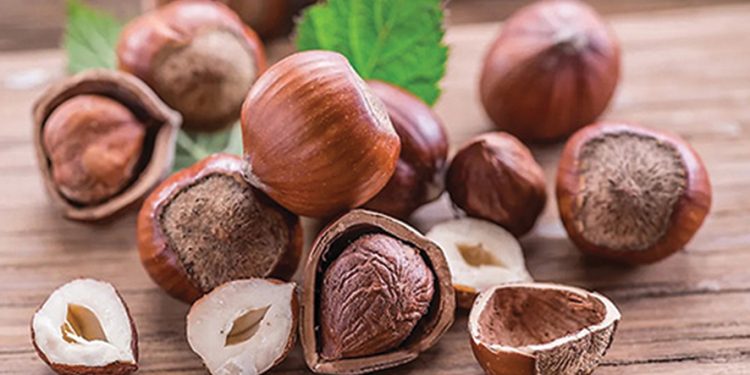 A Tough Nut to Crack – How is Georgia’s Nut Industry Developing?