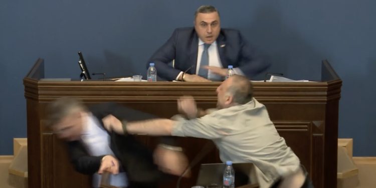 Aleko Elisashvili physically confronts majority leader Mamuka Mdinaradze