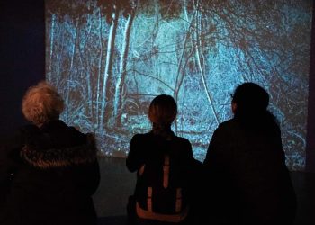 The exhibition Taxonomies of Power: Photographic Encounters at the State Silk Museum, Tbilisi