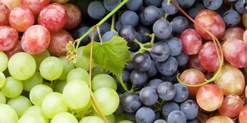 This year, Georgia bought 707 tons of grapes
