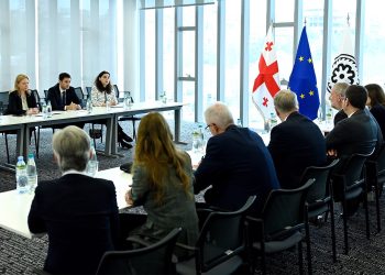 Natia Turnava meets with the delegation of Sparkasse Association of Westphalia-Lippe