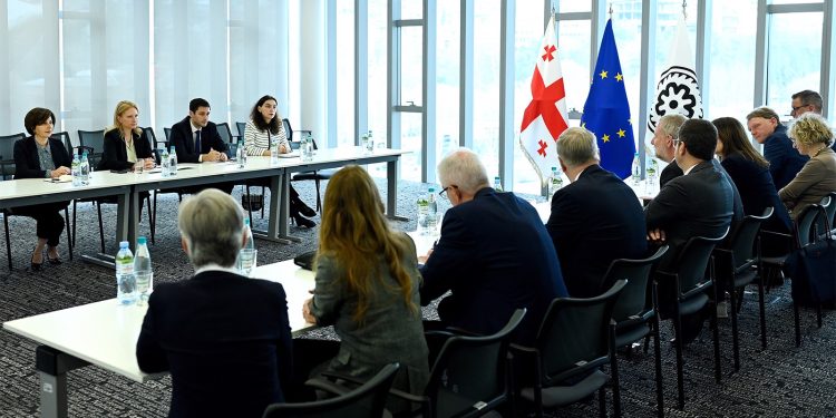 Natia Turnava meets with the delegation of Sparkasse Association of Westphalia-Lippe