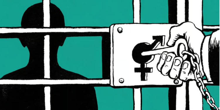 Prisons should ensure that transgender persons are treated with respect and prevent ill-treatment risks: Anti-torture Committee report