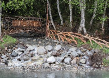 Kolga Introduces 2024 Tbilisi Photo Festival with World Renowned Photographer Paolo Pellegrin