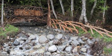 Kolga Introduces 2024 Tbilisi Photo Festival with World Renowned Photographer Paolo Pellegrin