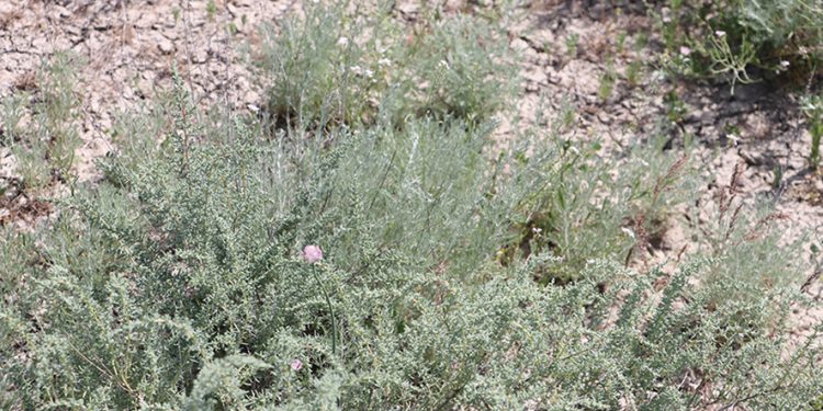 Interview with Curator Nino Asanidze – Ria Keburia Foundation