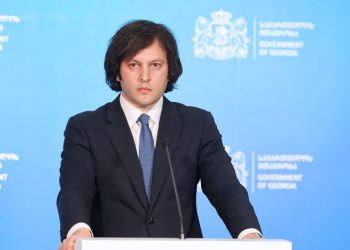 PM: Rallies are organized by specific parties and NGOs related to them