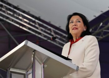 Georgian President to the “Russian Law” protesters: You create a referendum, I’ll sign it