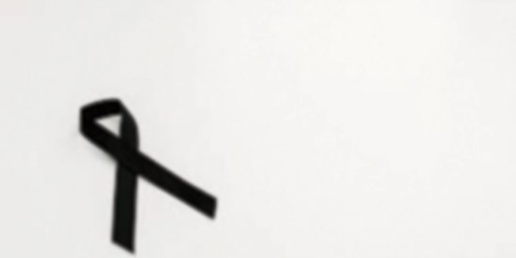 American Friends of Georgia Marks 30 Years of Humanitarian Achievement