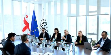 Natia Turnava meets with the new International Monetary Fund Mission Chief