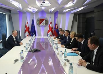 Minister of Finance of Georgia meets with members of the Slovak Republic’s government delegation