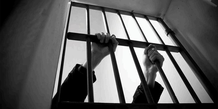 A Sound that is both Rooted in Tradition and Forward-Looking: Pedro Martins Group Debuts in Tbilisi