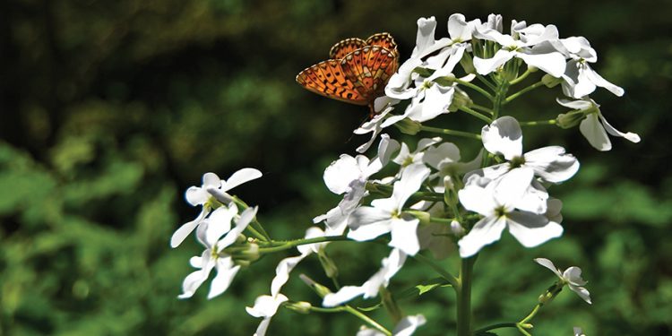 Photo by UNDP/Vladimir Valishvili