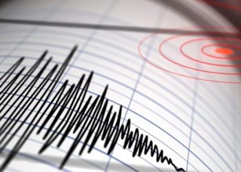 4.7 Magnitude Earthquake Hits Georgia