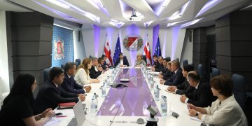 The first deputy Minister of Finance of Georgia meets with the government delegation of Tajikistan