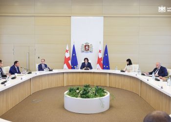 The Government of Georgia develops a paid internship program for graduates