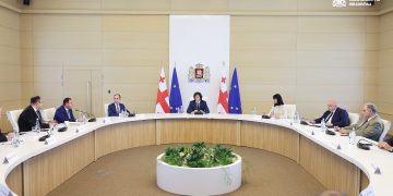 The Government of Georgia develops a paid internship program for graduates