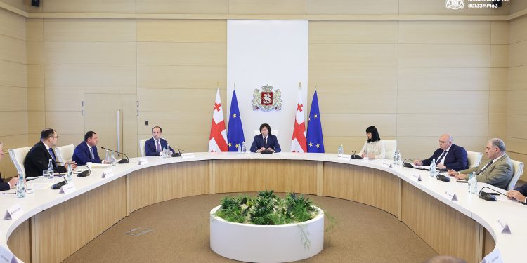 The Government of Georgia develops a paid internship program for graduates