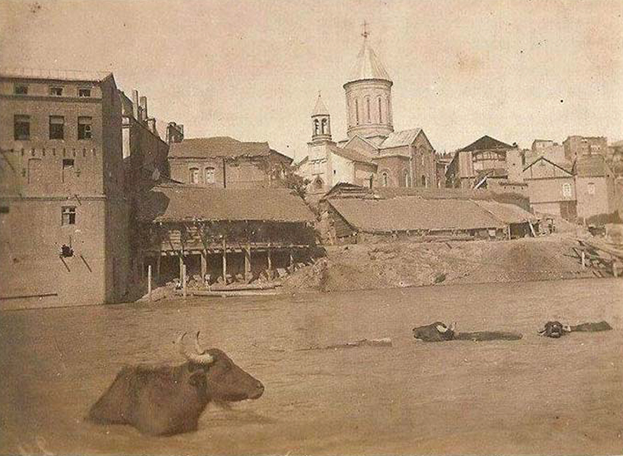 Water buffaloes relax in the Mtkvari River across from Chughureti. The St. Karapet Church (today St. Nicholas) is visible in the background