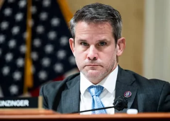 Kinzinger: Crush the GD party, Georgia – take back your country from corrupt Ivanishvilli