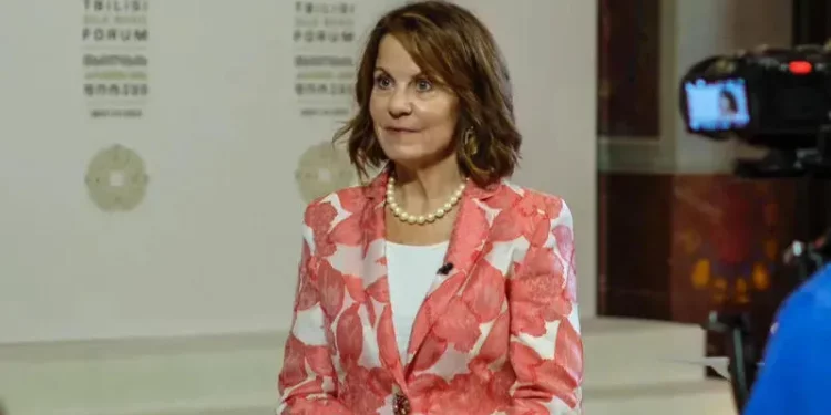 Ambassador: US-Georgia bilaterial relationship is being reviewed