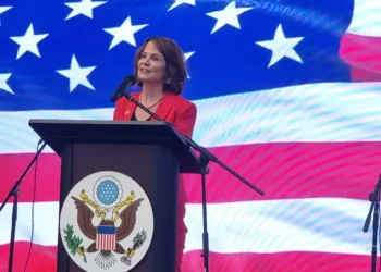 Ambassador: The US only wants peace, prosperity and independence for Georgia