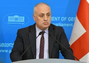 People’s Power MP: There are elections both in Georgia and US, real reset of relations will start after elections