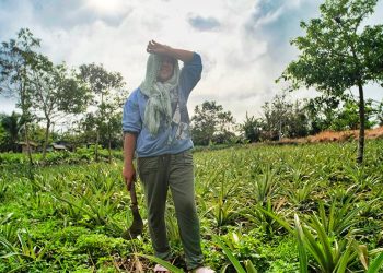 Climate Change Response in Asia and Pacific Held Back by Insufficient Data