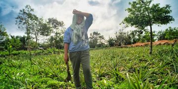 Climate Change Response in Asia and Pacific Held Back by Insufficient Data