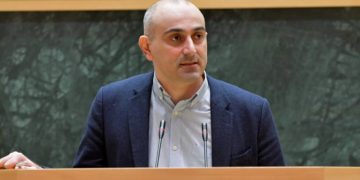 Girchi party MP: Ivanishvili is the one who owes an apology